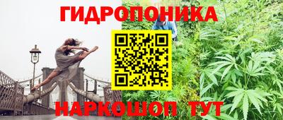 спайс Гулькевичи